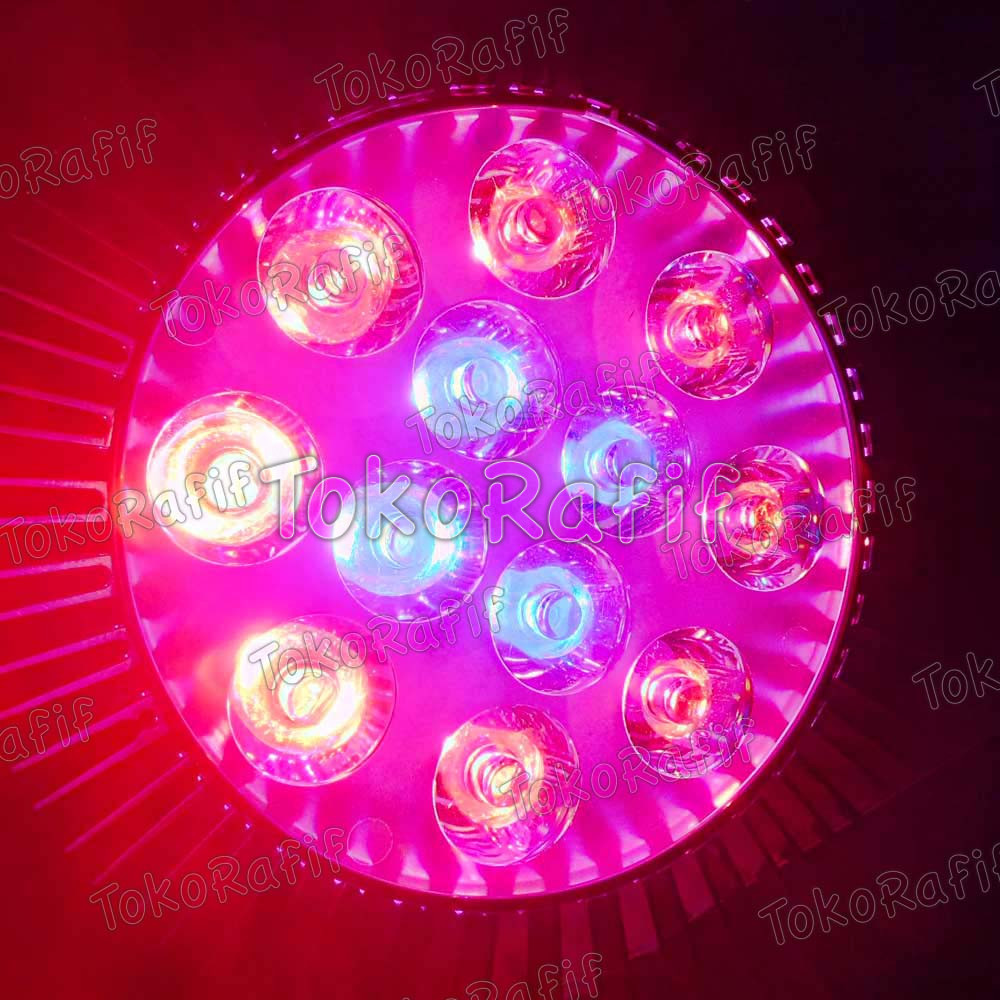 Growlight 12W