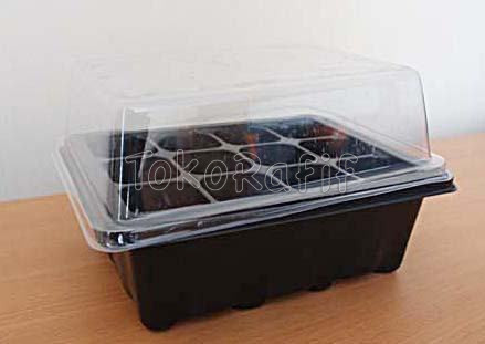 Tray Semai Kecil Tutup Transparant